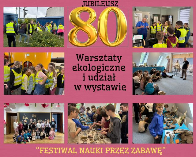 kolaż zdjęć uczni&oacute;w na warsztatach ekologicznych i wystawie o mamucie