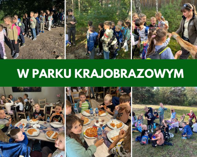 kolaż zdjęć uczni&oacute;w w Parku Krajobrazowym