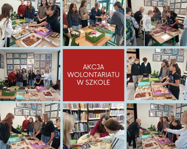 kolaż zdjęć wolontariuszy