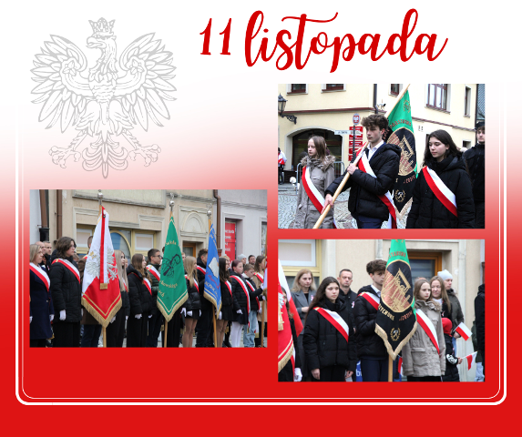 poczet sztandarowy  na uroczystości z okazji święta odzyskania niepodległości