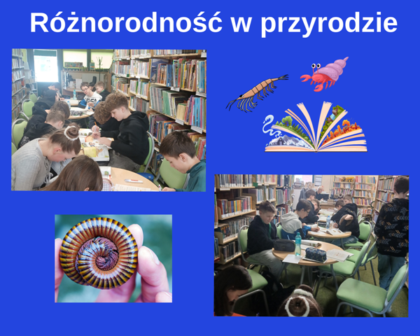 kolaż zdjęć uczni&oacute;w na lekcji w bibliotece szkolnej