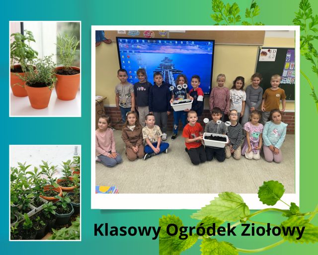 uczniowie w klasie z zasianymi doniczkami 