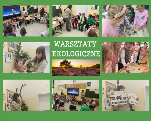 uczniowie na zajęciach oglądają poroża i ślady zwierząt