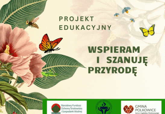 Plakat z nazwą projektu