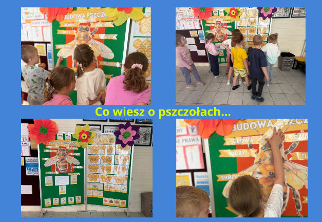 dzieci na korytarzu szkoły oglądają wystawę o pszczołach